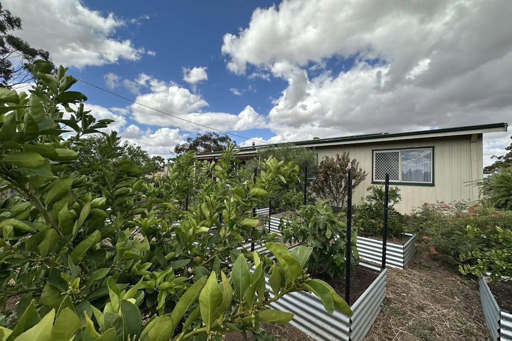 22 Rifle North Street, Wagin, WA, 6315 - Image 33