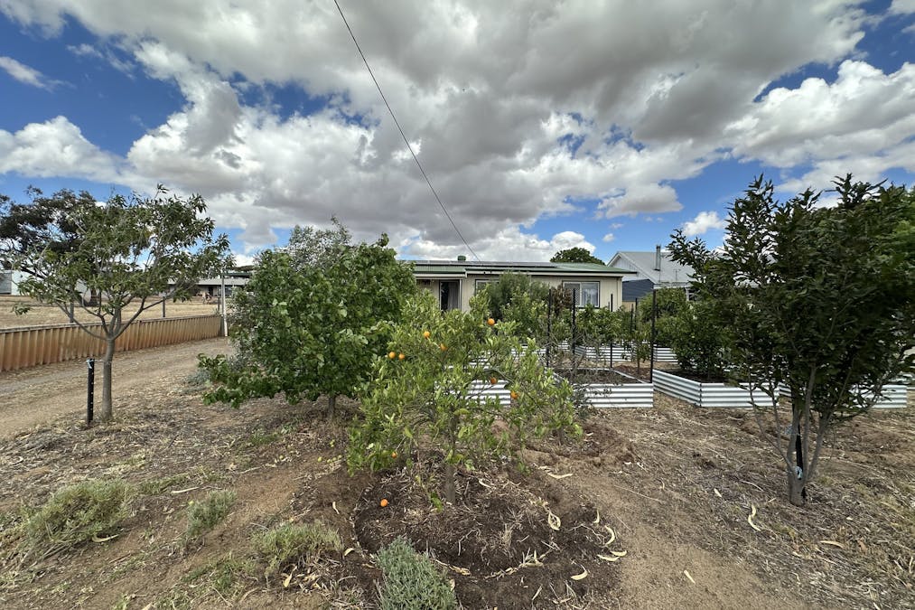 22 Rifle North Street, Wagin, WA, 6315 - Image 34