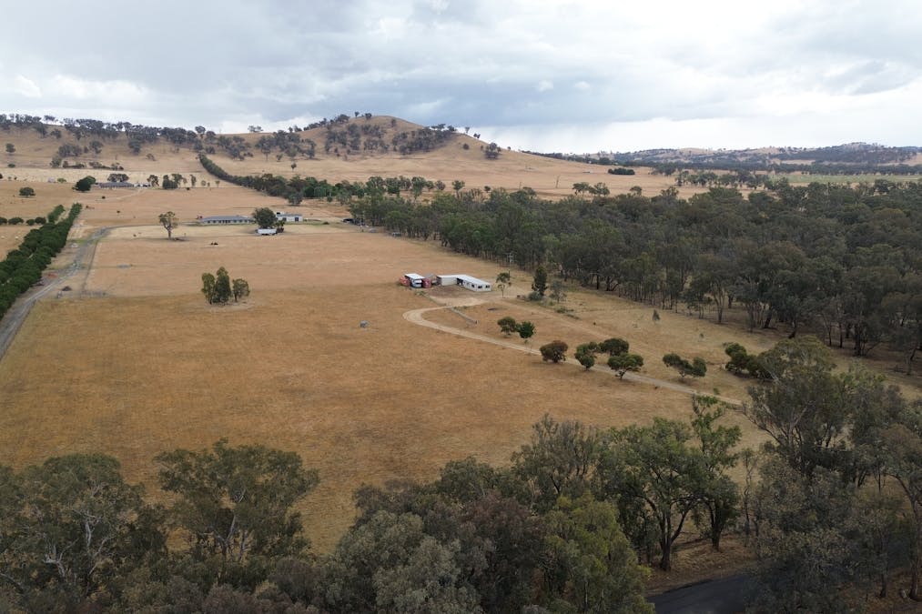 128 Bungowannah Road, Jindera, NSW, 2642 - Image 1