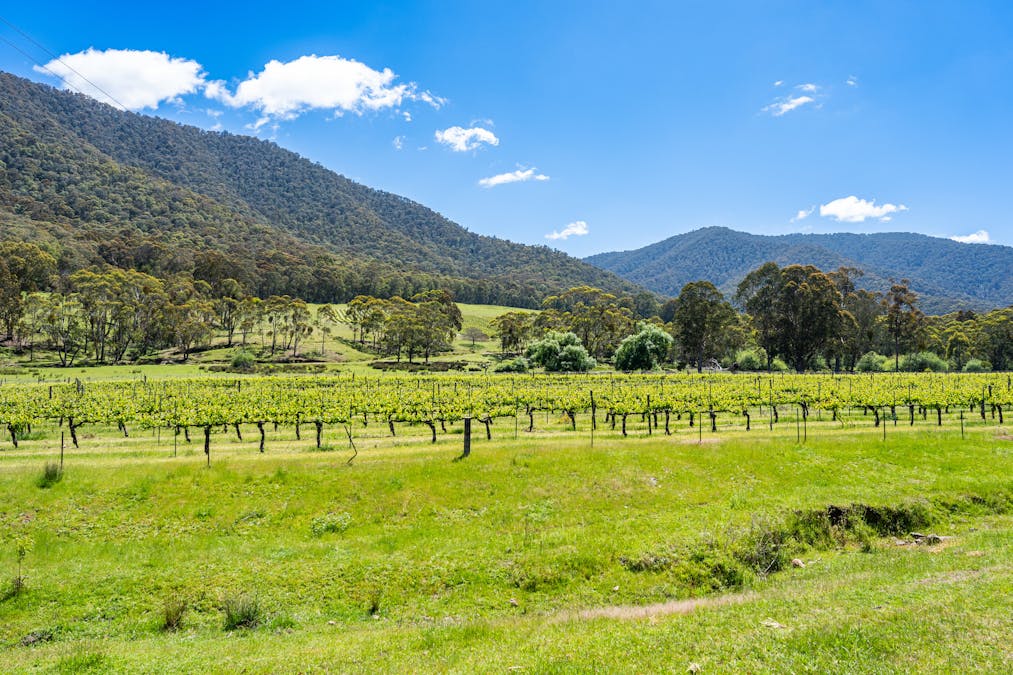 285 Bay Creek Lane, Mongans Bridge, VIC, 3691 - Image 20