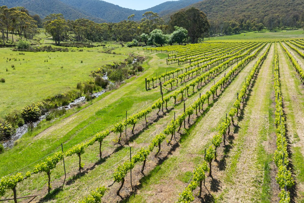 285 Bay Creek Lane, Mongans Bridge, VIC, 3691 - Image 17