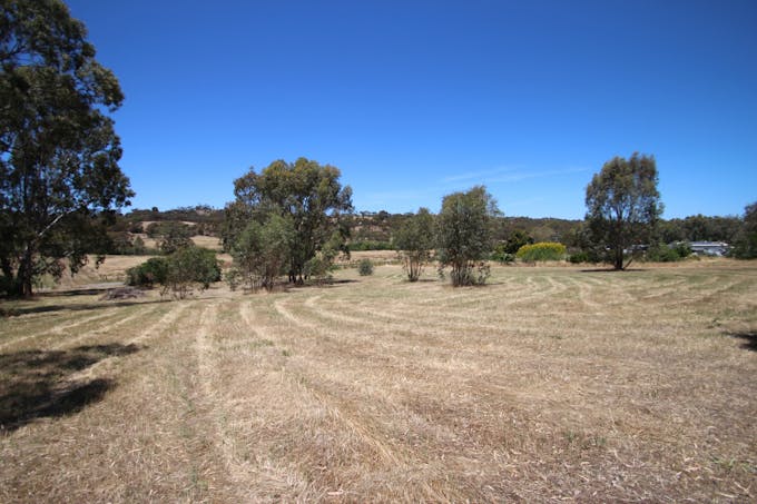Lt 119 & 1 St George Terrace, Armagh, SA, 5453 - Image 1