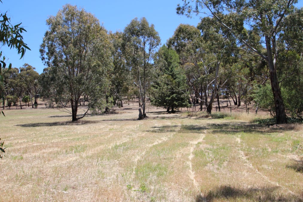 Lt 119 & 1 St George Terrace, Armagh, SA, 5453 - Image 3