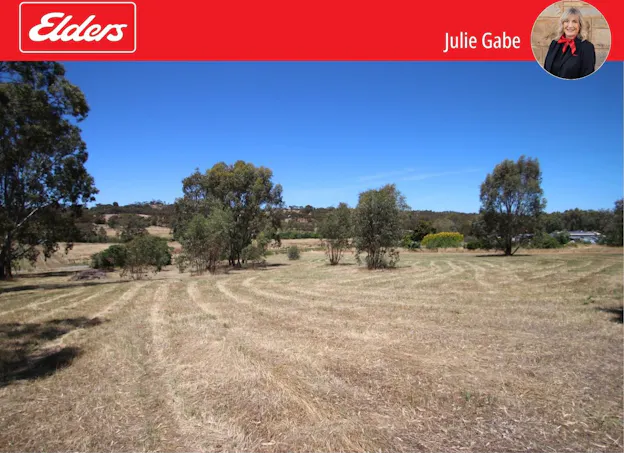 Lt 119/120 St Georges Terrace, Armagh, SA, 5453 - Image 1