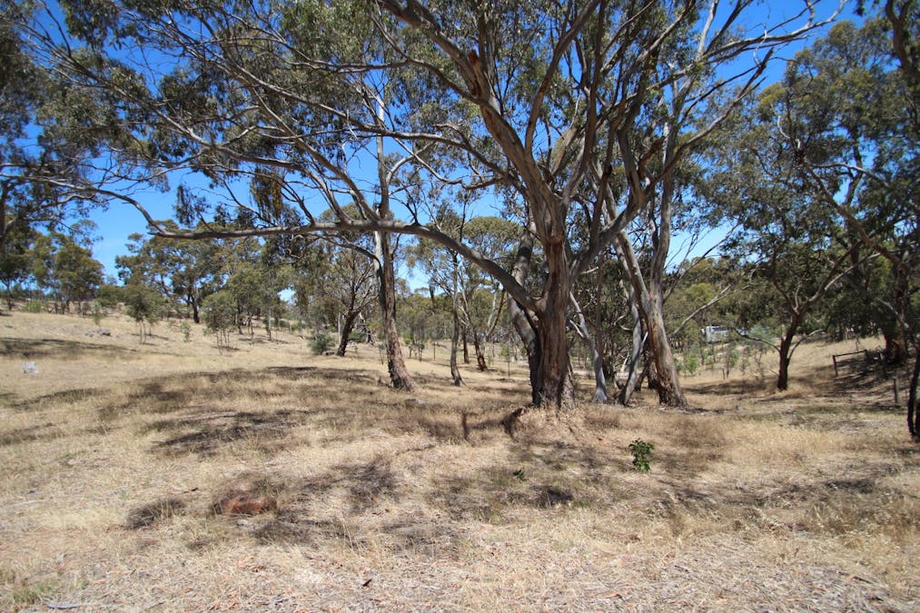 Lot 44 Norman Drive, Stanley Flat, SA, 5453 - Image 3