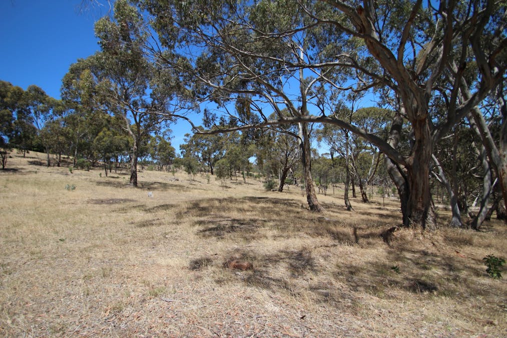 Lot 44 Norman Drive, Stanley Flat, SA, 5453 - Image 4