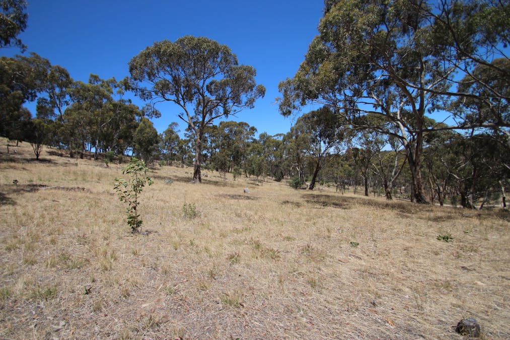 Lot 44 Norman Drive, Stanley Flat, SA, 5453 - Image 6
