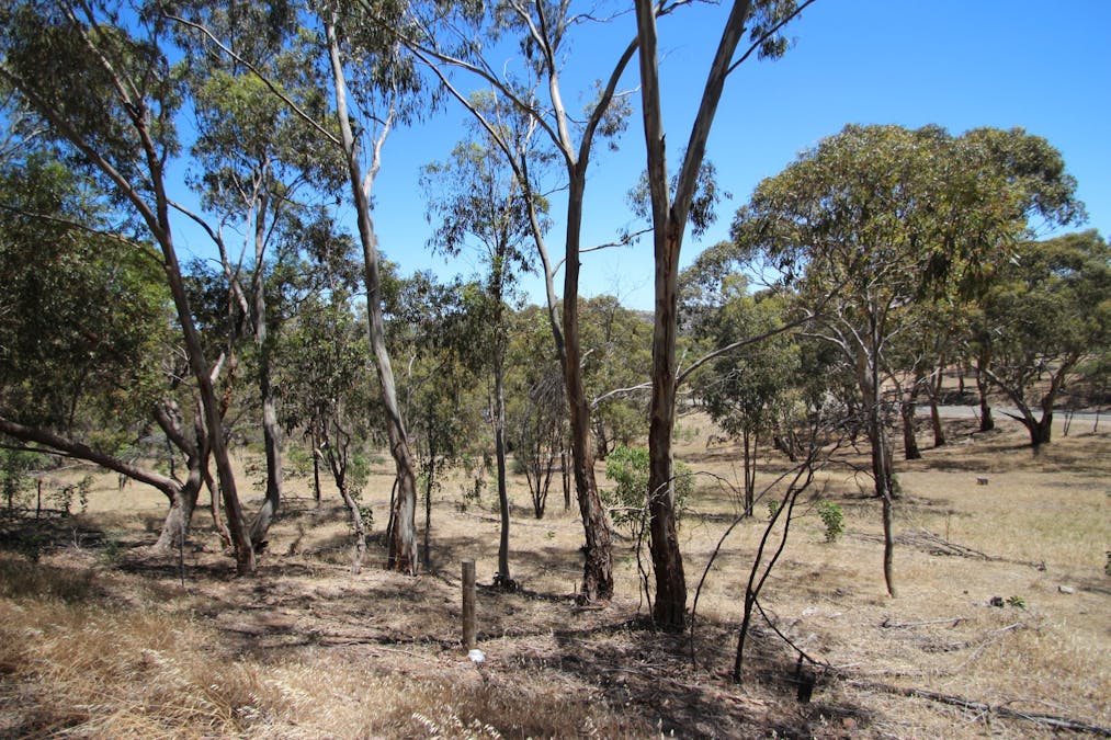 Lot 44 Norman Drive, Stanley Flat, SA, 5453 - Image 11