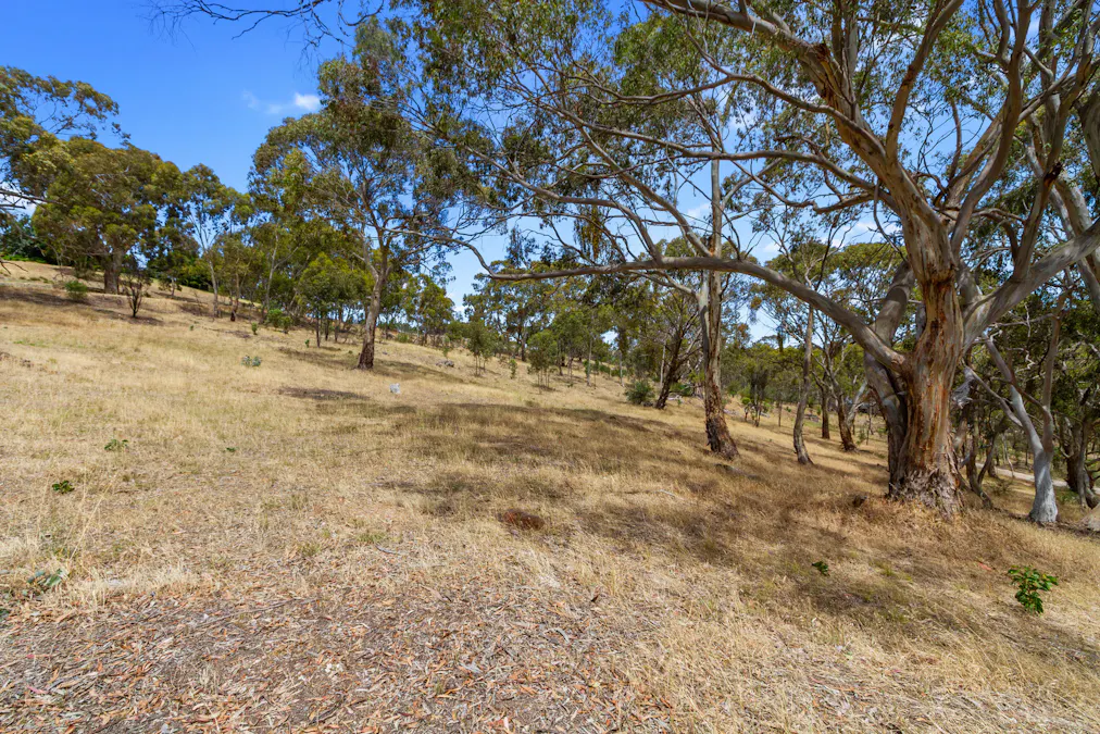 Lot 44 Norman Drive, Stanley Flat, SA, 5453 - Image 12