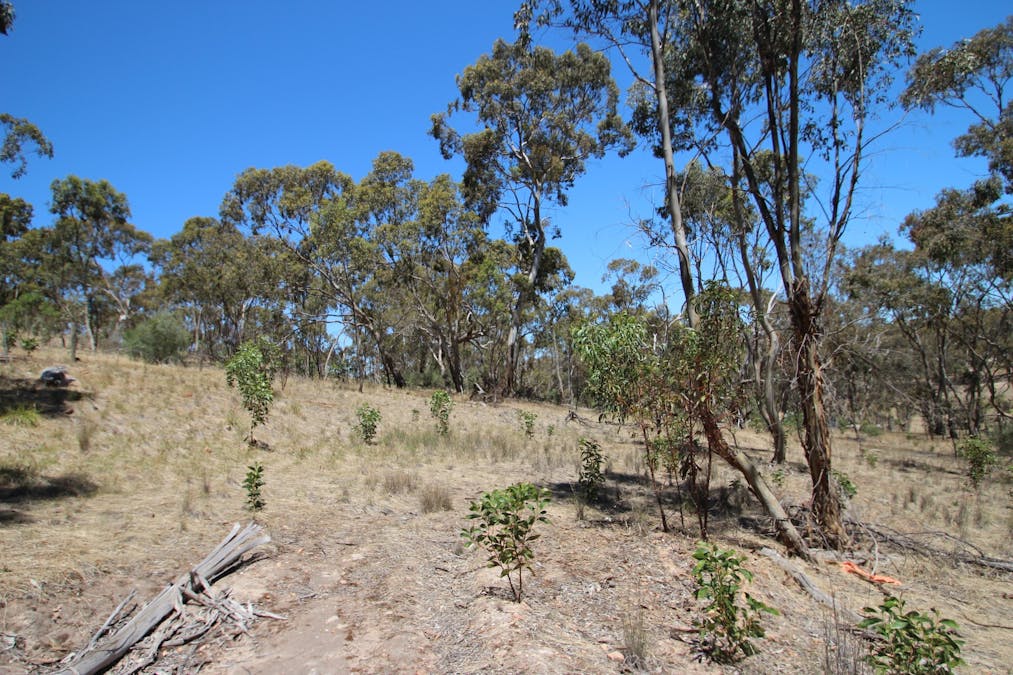 Lot 45 Norman Drive, Stanley Flat, SA, 5453 - Image 5