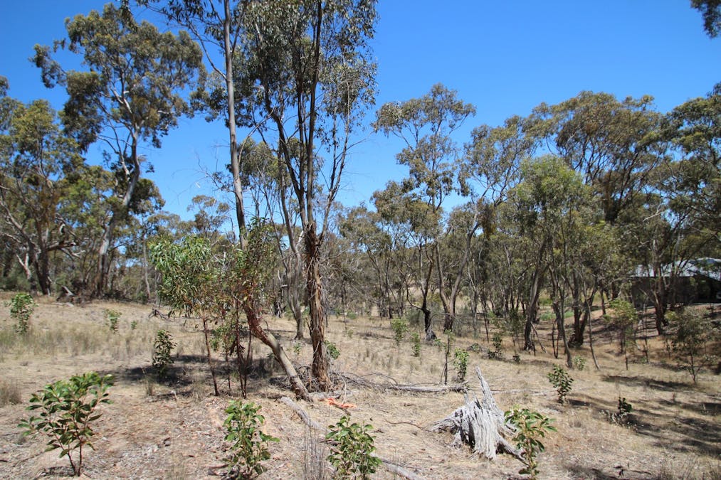 Lot 45 Norman Drive, Stanley Flat, SA, 5453 - Image 6