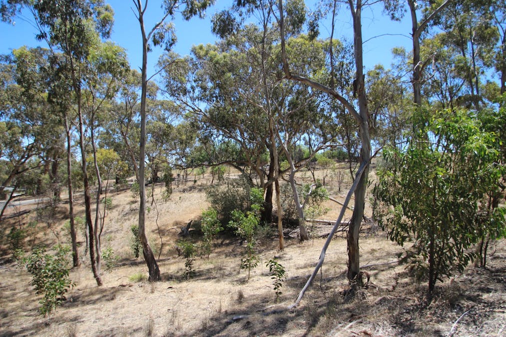Lot 45 Norman Drive, Stanley Flat, SA, 5453 - Image 7