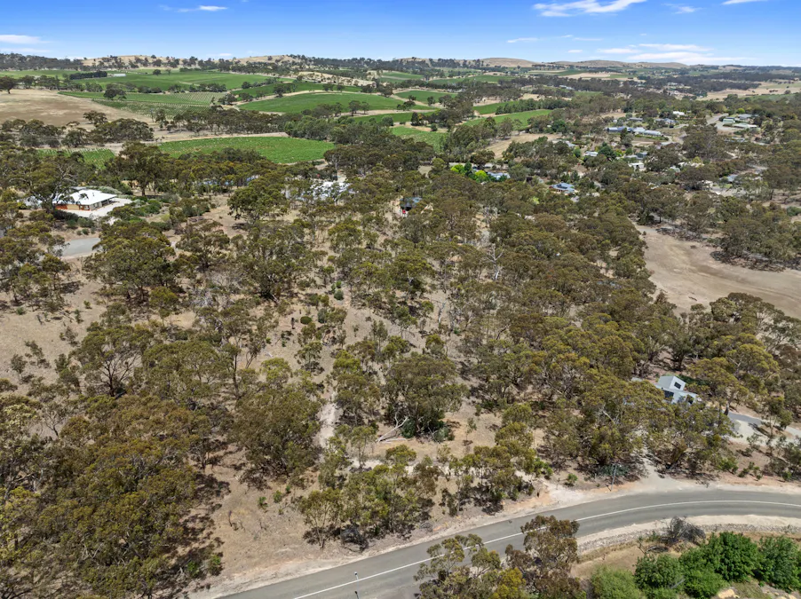 Lot 45 Norman Drive, Stanley Flat, SA, 5453 - Image 10