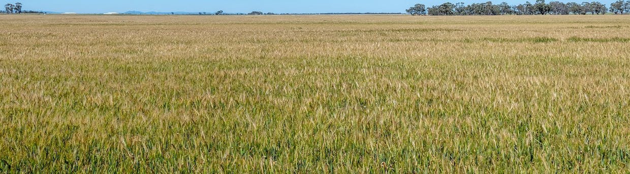 Three Mile Road, Vectis, VIC, 3401 - Image 3