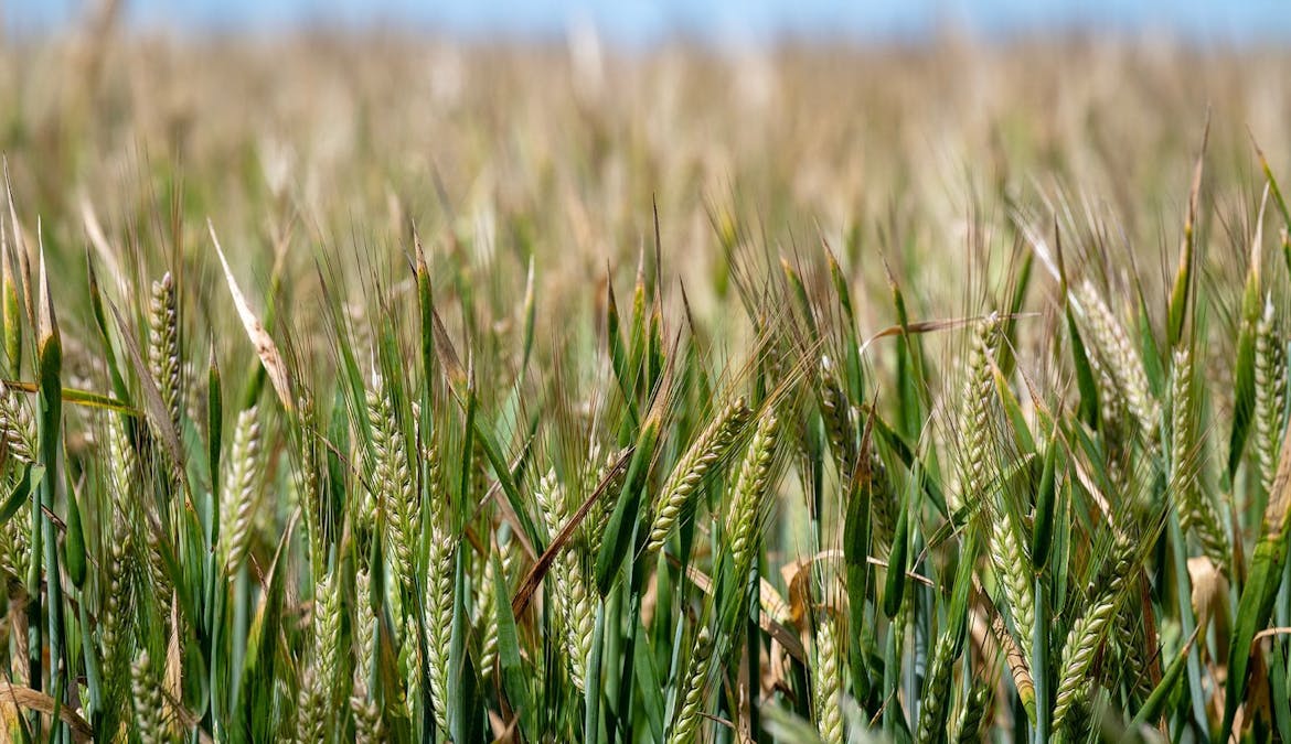 Three Mile Road, Vectis, VIC, 3401 - Image 4