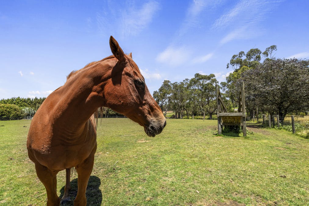 362 Lang Lang - Poowong Road, Nyora, VIC, 3987 - Image 21