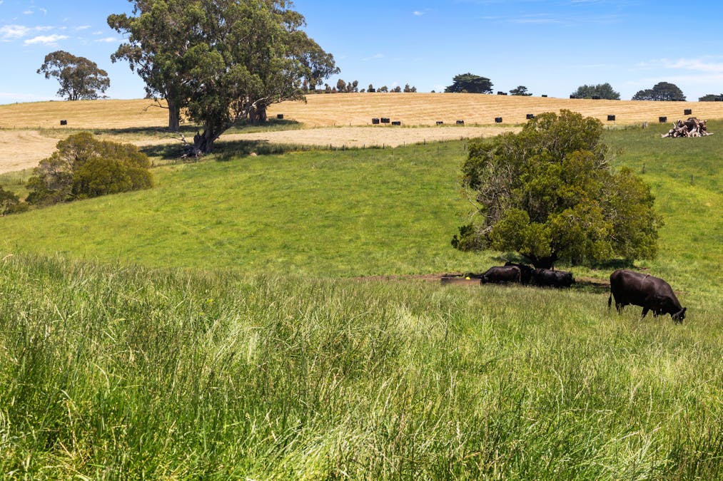 15 Hankinson Court, Mirboo, VIC, 3871 - Image 8