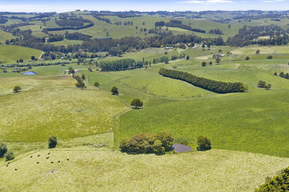 15 Hankinson Court, Mirboo, VIC, 3871 - Image 12