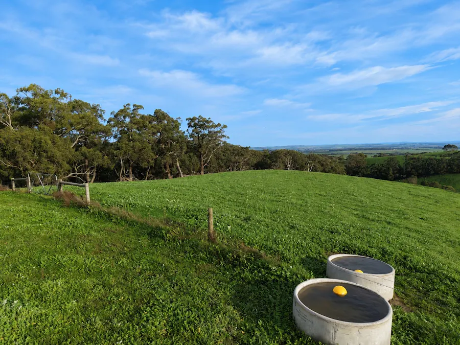 255 Buffalo North Road, Buffalo, VIC, 3958 - Image 7