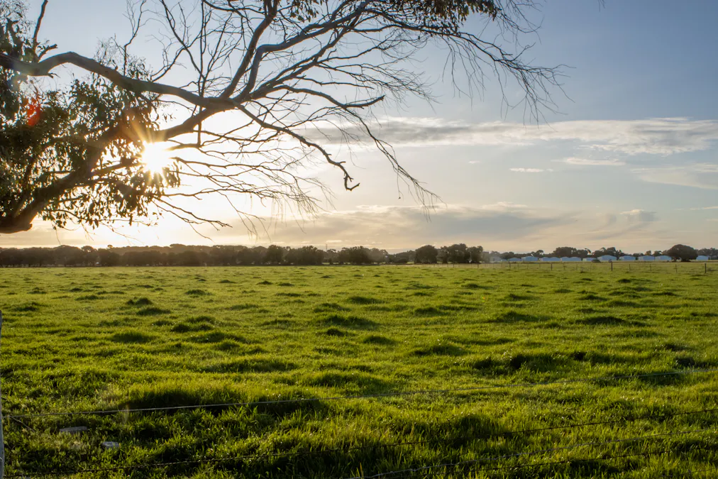 4437 Southern Ports Highway, Robe, SA, 5276 - Image 10