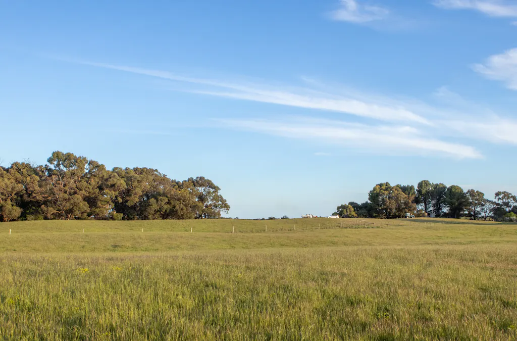 4437 Southern Ports Highway, Robe, SA, 5276 - Image 12