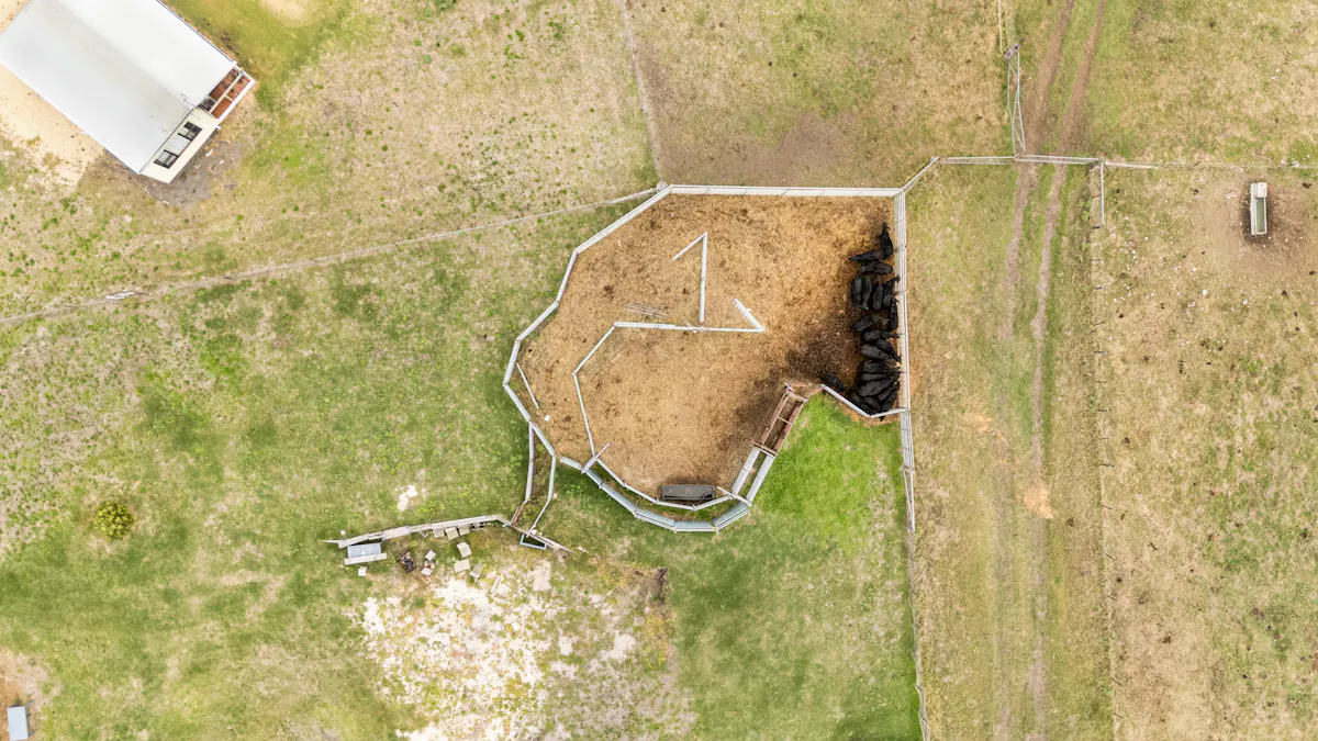 4437 Southern Ports Highway, Robe, SA, 5276 - Image 29