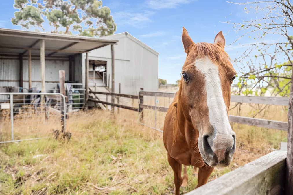 4437 Southern Ports Highway, Robe, SA, 5276 - Image 35