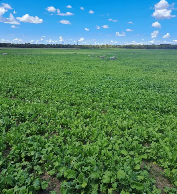 4437 Southern Ports Highway, Robe, SA, 5276 - Image 31