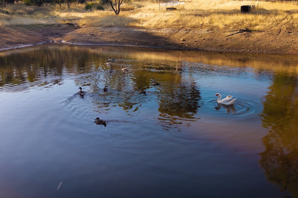 88 Dreyer Road, West Toodyay, WA, 6566 - Image 21