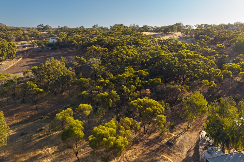 88 Dreyer Road, West Toodyay, WA, 6566 - Image 22