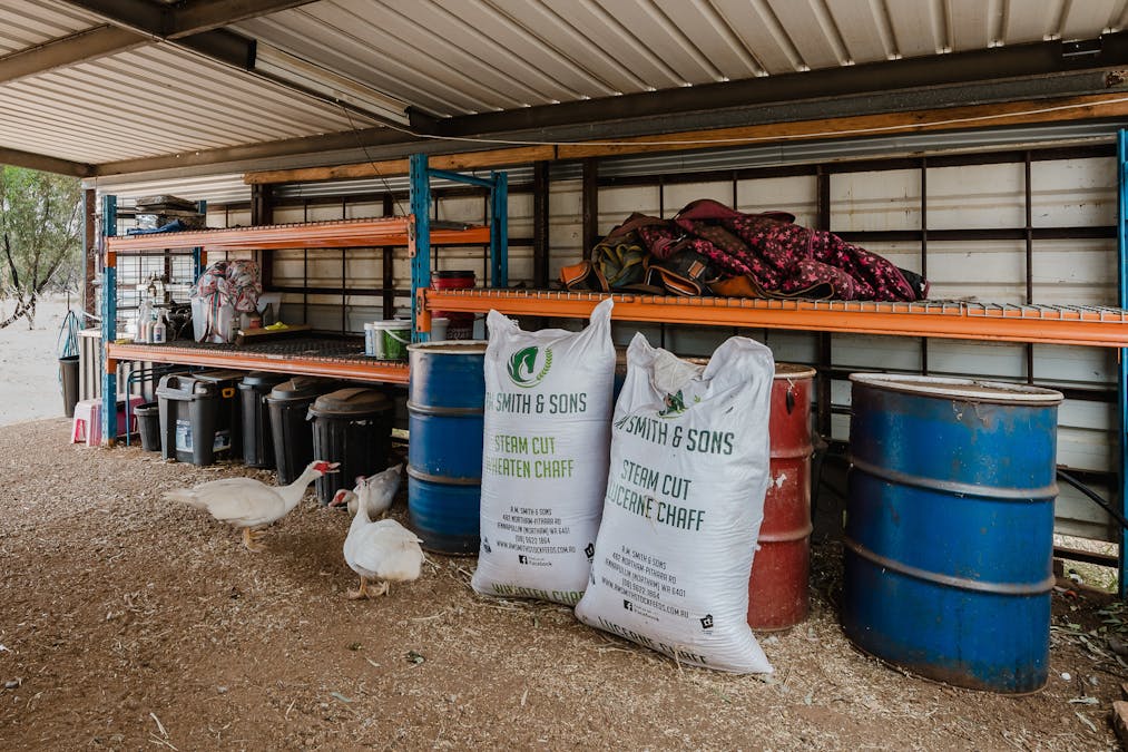 88 Dreyer Road, West Toodyay, WA, 6566 - Image 28