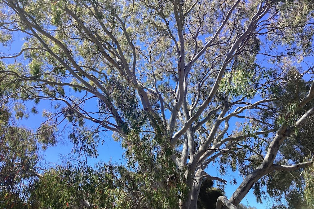 23 SEA VISTA Road, Nepean Bay, SA, 5223 - Image 7