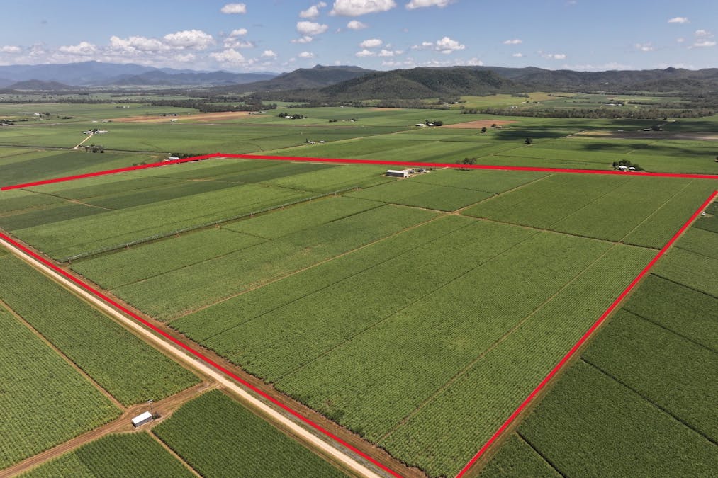 2143 Mackay Eungella Road, Mirani, QLD, 4754 - Image 2