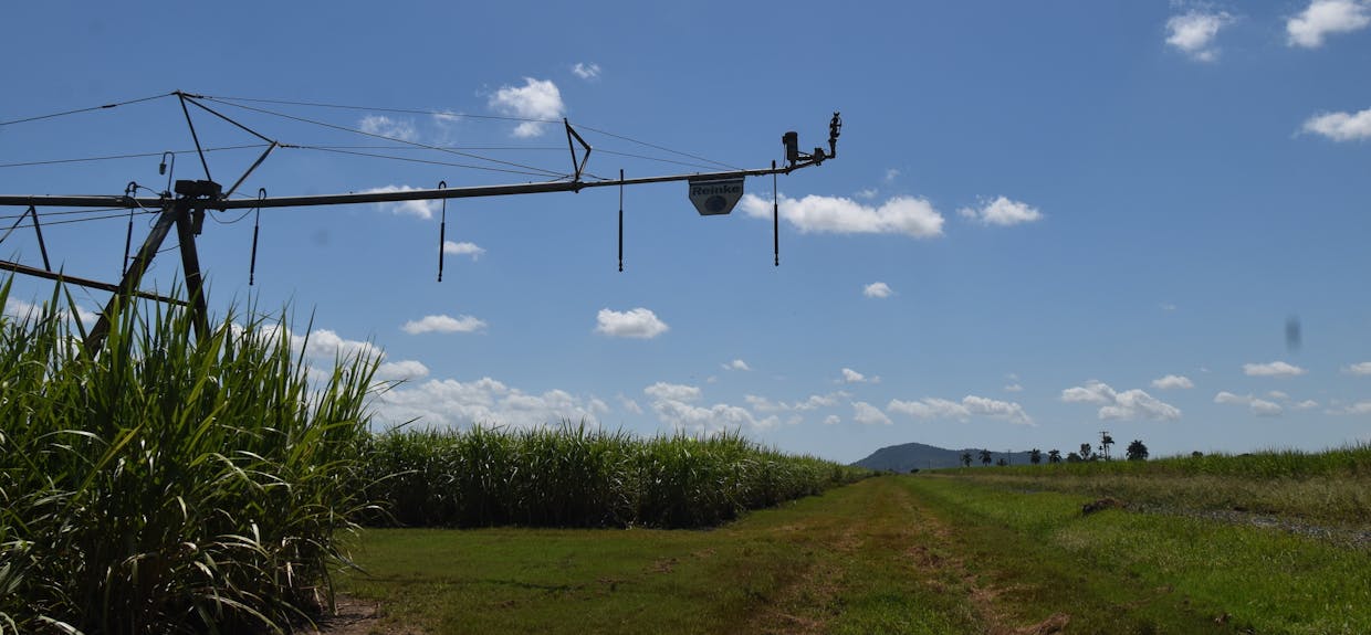 2143 Mackay Eungella Road, Mirani, QLD, 4754 - Image 14