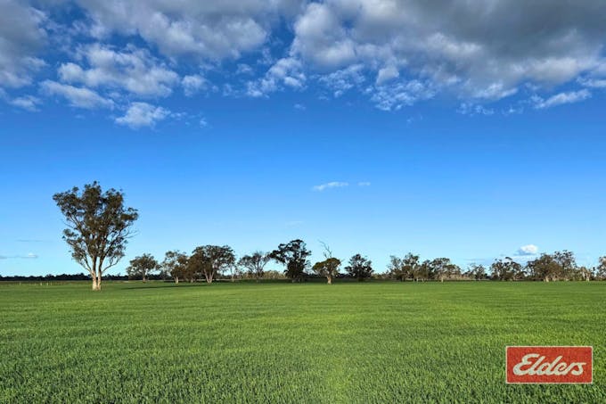 490 Neal Road, Undera, VIC, 3629 - Image 1