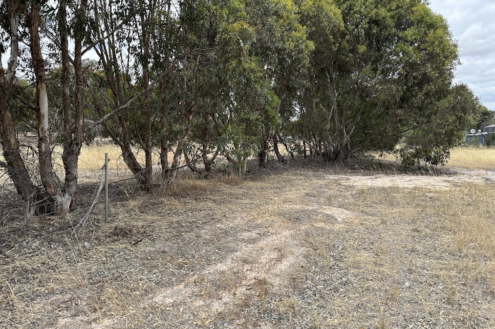 6 Steere Road, Woodanilling, WA, 6316 - Image 5