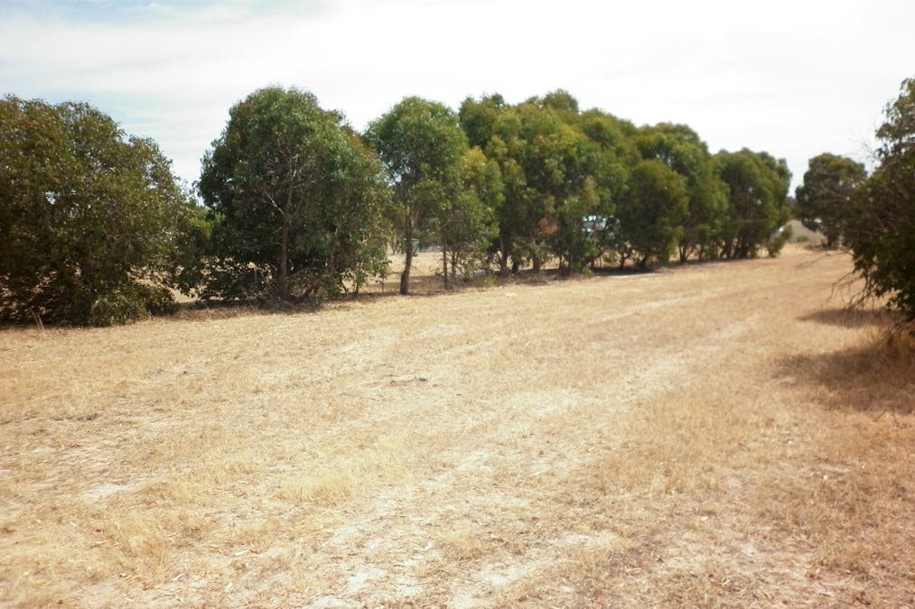 6 Steere Road, Woodanilling, WA, 6316 - Image 2