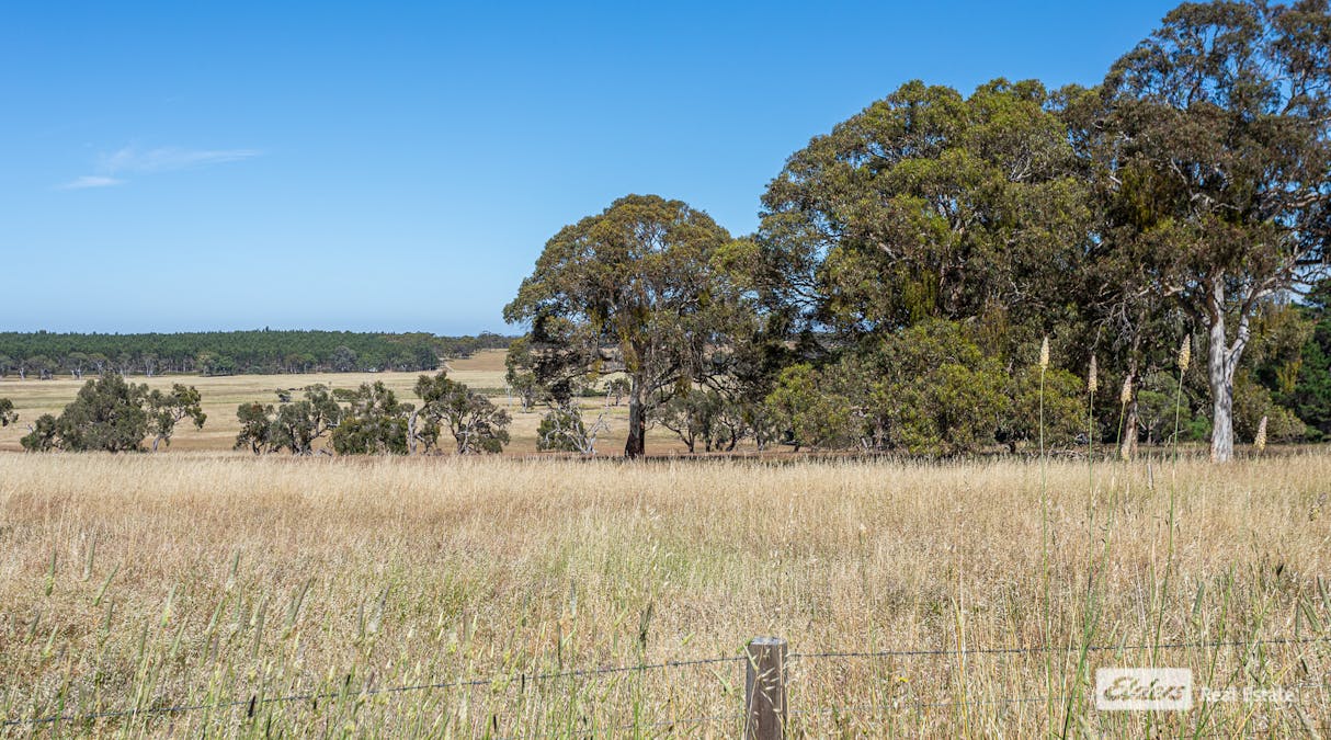 214 Blackwell Road, Naracoorte, SA, 5271 - Image 6