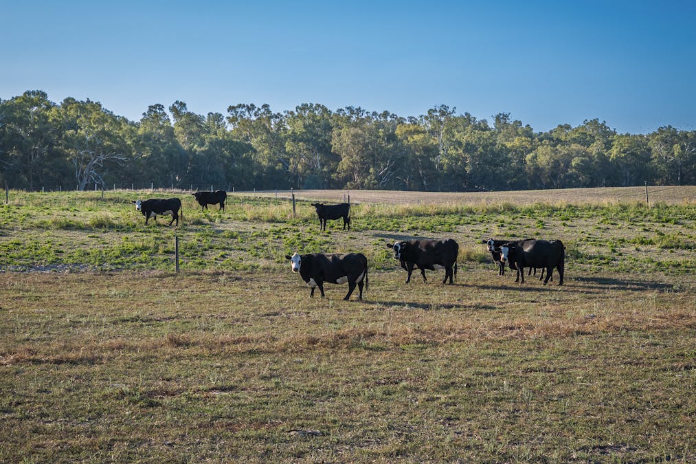 610 Ulupna Bridge Road, Ulupna, VIC, 3641 - Image 29