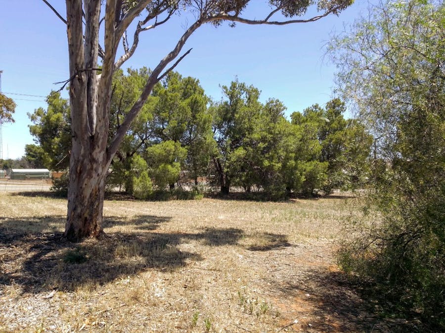 22 Barr Street, Redhill, SA, 5521 - Image 4