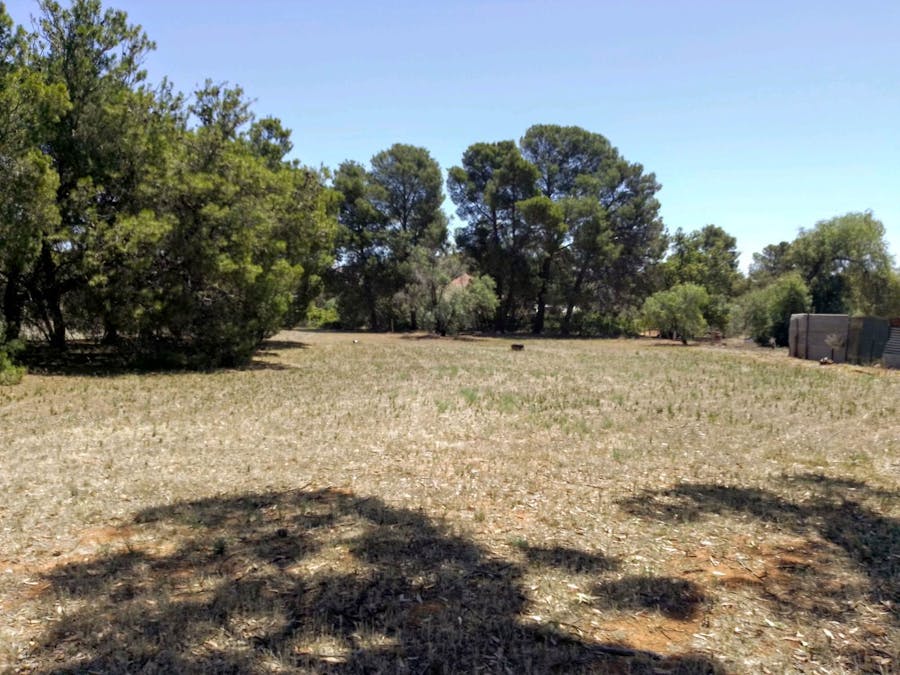 22 Barr Street, Redhill, SA, 5521 - Image 7