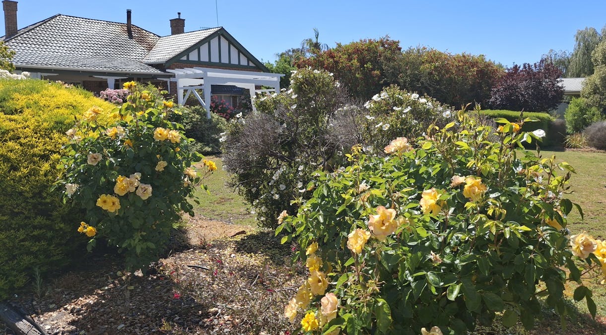 Katanning, WA, 6317 - Image 2