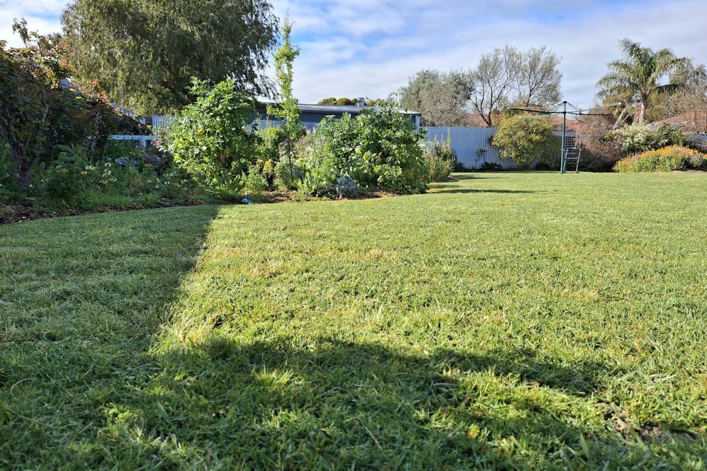 Katanning, WA, 6317 - Image 4