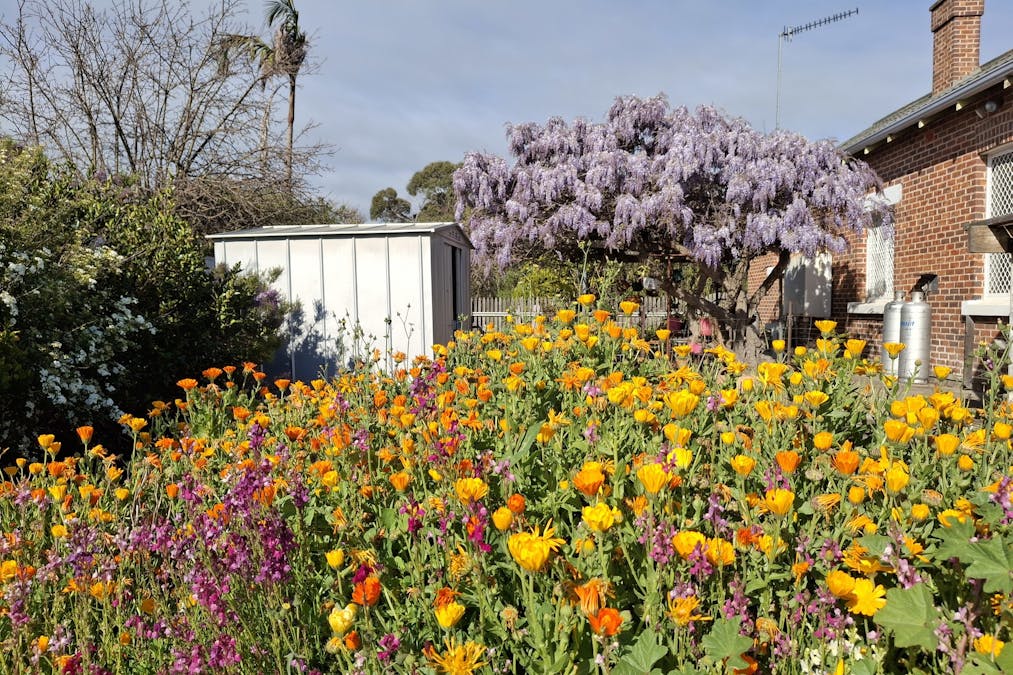 Katanning, WA, 6317 - Image 24