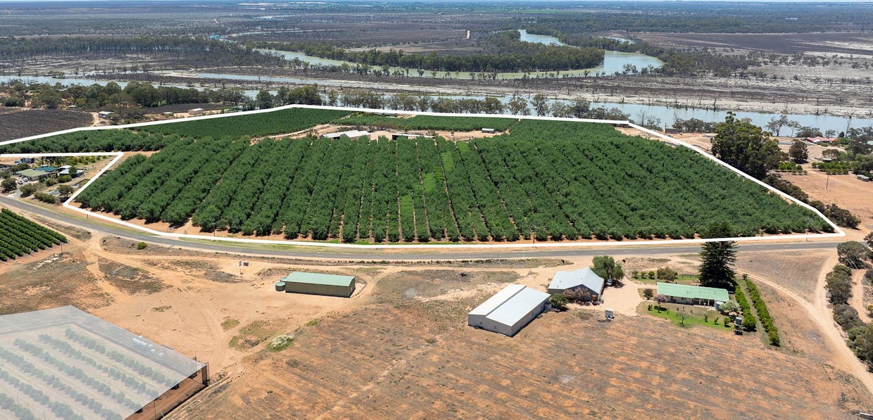 108 Pike Creek Road, Lyrup, SA, 5343 - Image 24