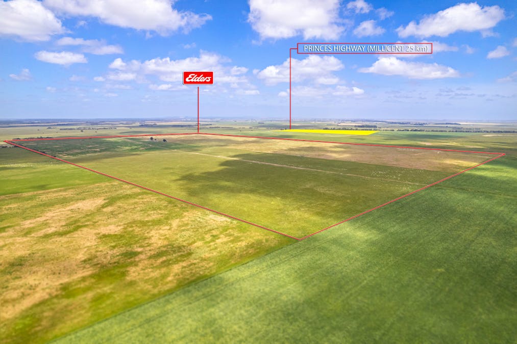 Lot 55 Princes Highway, Millicent, SA, 5280 - Image 4