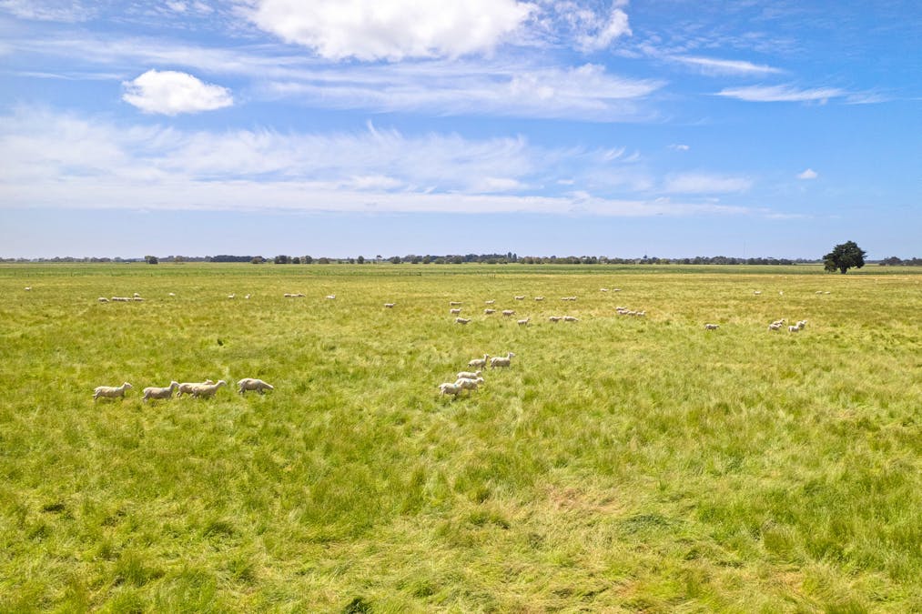 Lot 55 Princes Highway, Millicent, SA, 5280 - Image 17