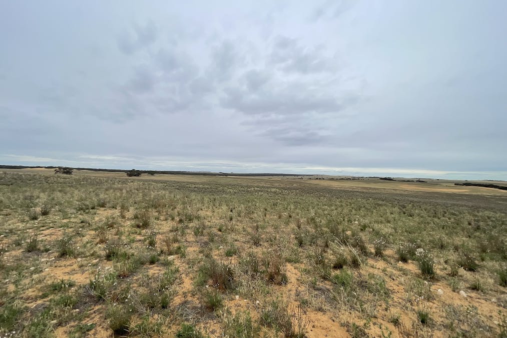 2440 Black Hill Road, Black Hill, SA, 5353 - Image 8