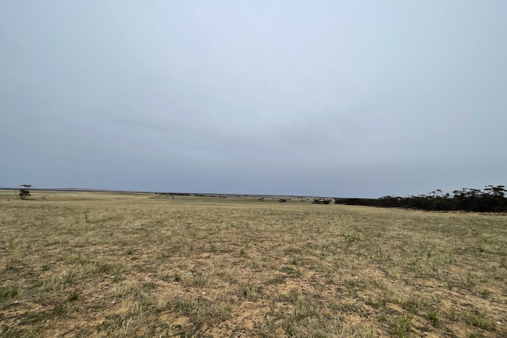 2440 Black Hill Road, Black Hill, SA, 5353 - Image 10