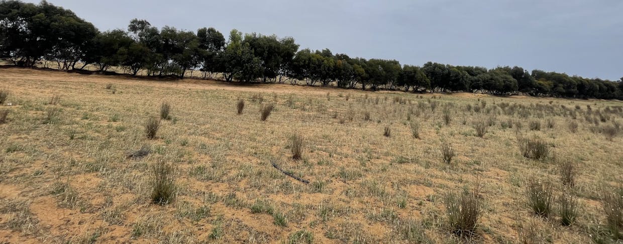 2440 Black Hill Road, Black Hill, SA, 5353 - Image 13